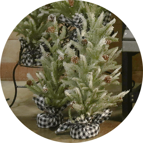 Grouping of small frosted tip porch trees.